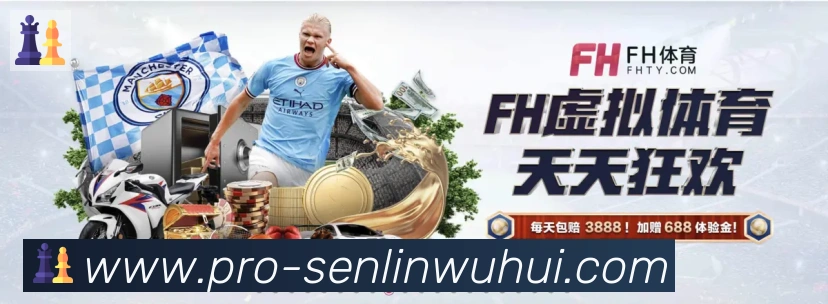 未来规划